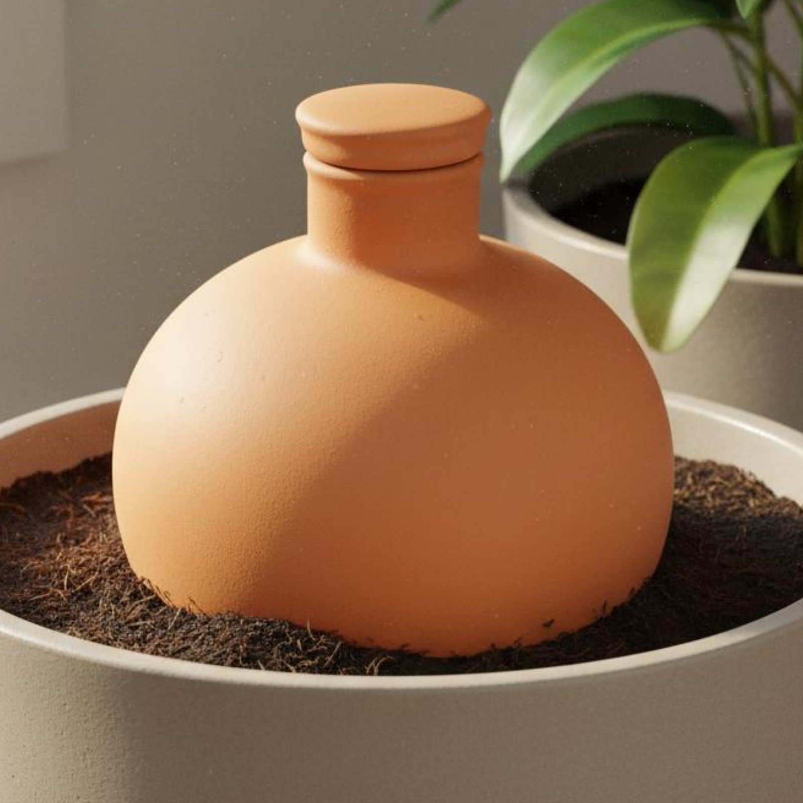 Terracotta Pot - 2개 테라코타 올라 이지 플랜트 케어