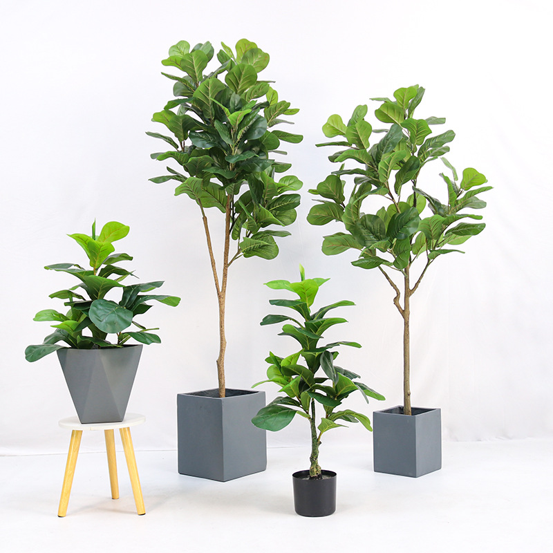 Fiddle Leaf Fig - 인조 플라스틱 화분에 심은 피들리프 피쿠스