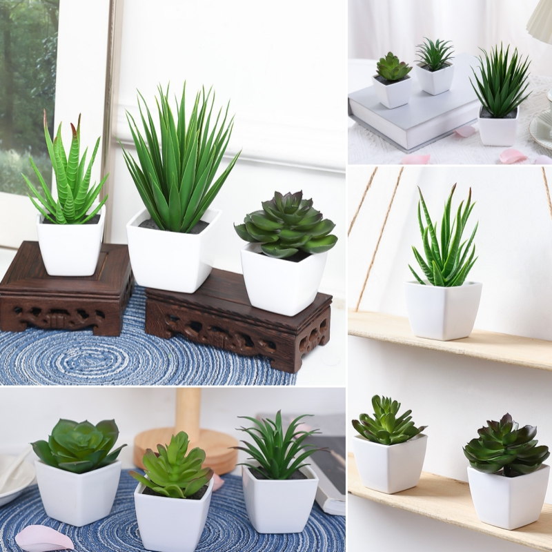 Succulent Set - (3PCS 세트) 집, 레스토랑, 탁상, 창턱