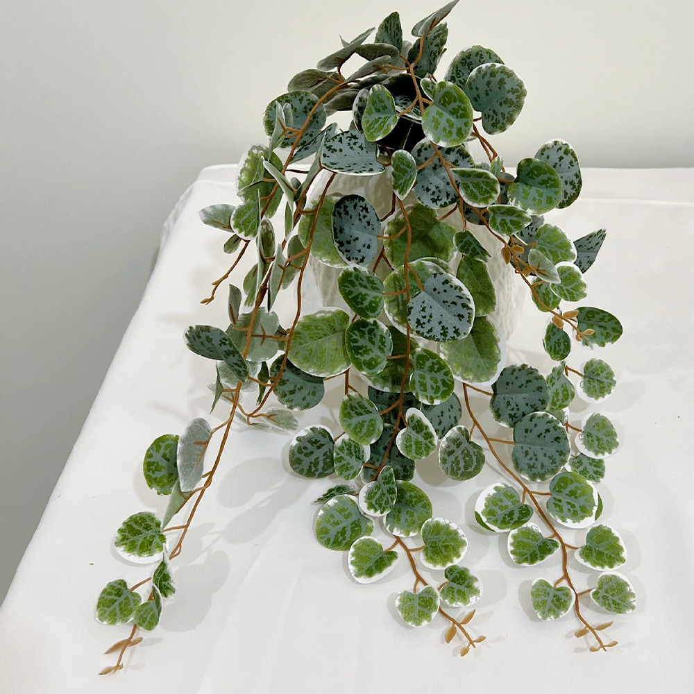 인공 식물 덩굴 가짜 행잉 유칼립투스 잎 플라스틱 단풍 - Snake Plant 리뷰 및 가격