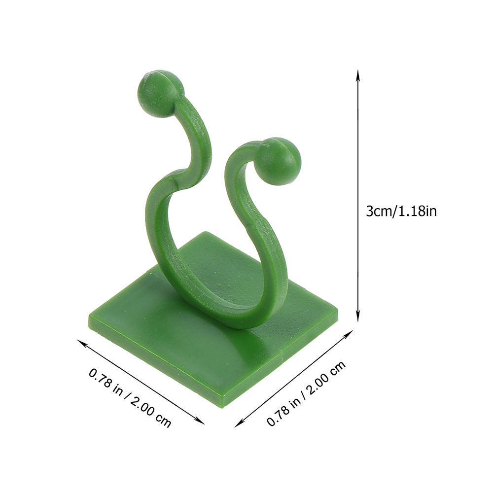 80개들이 식물 지지대 고정용 접착식 벽걸이 후크, 덩 - Pothos 리뷰 및 가격