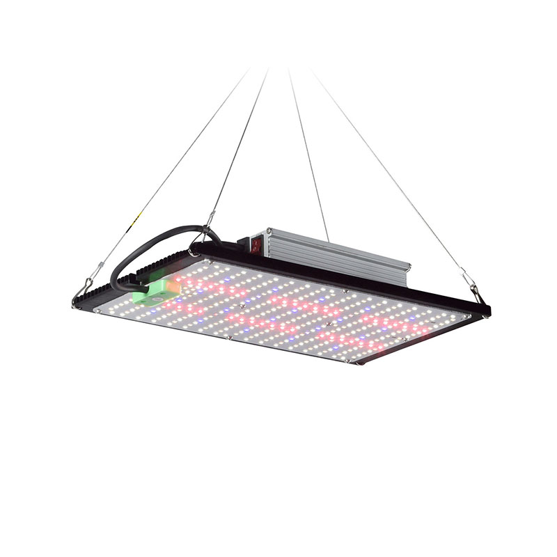 LED 퀀텀보드 식물 재배 조명, 실내 온실 채소 및  - Indoor Plants 리뷰 및 가격