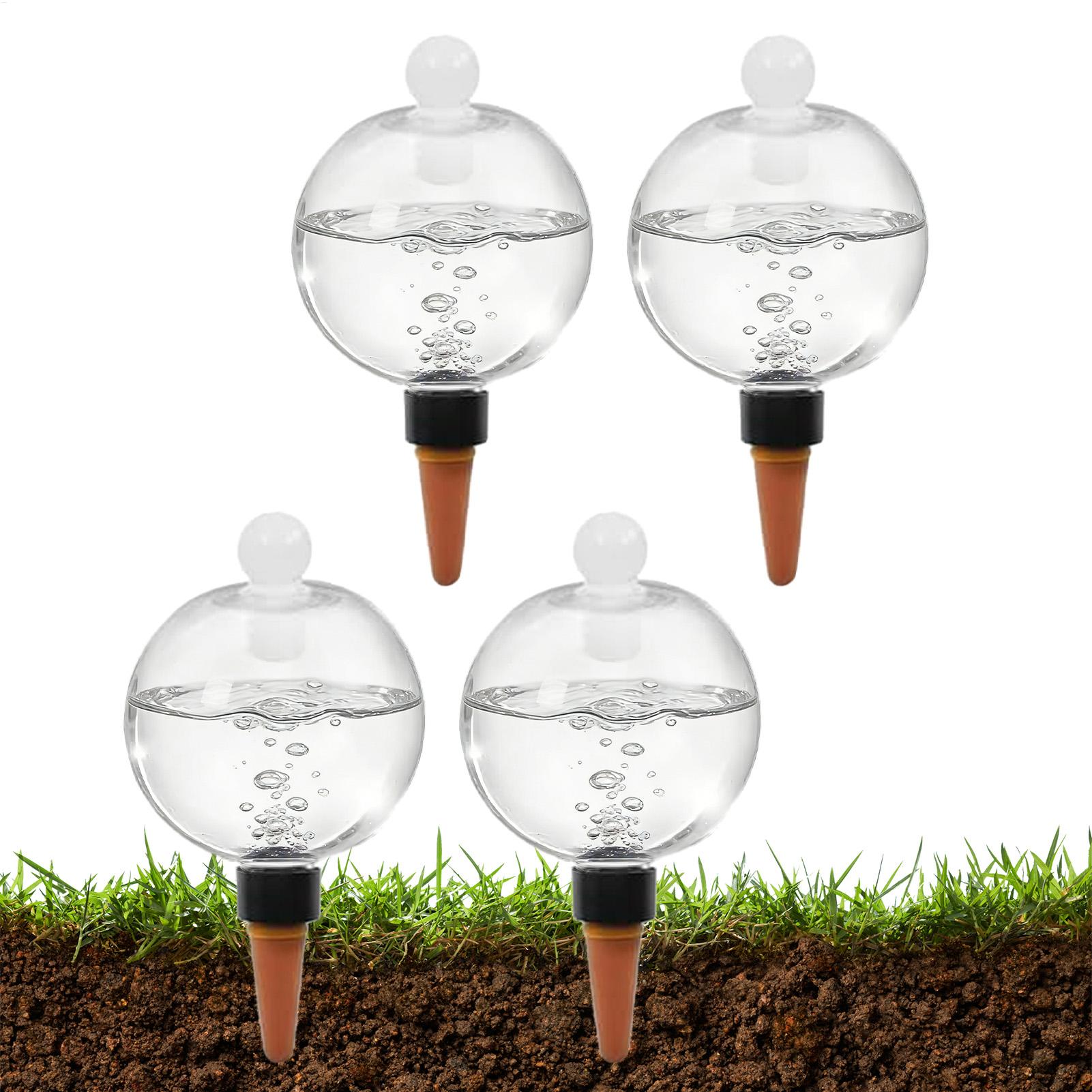 식물 급수용 전구 4개 500ml 투명 자동 급수 글로 - Succulent Set 리뷰 및 가격
