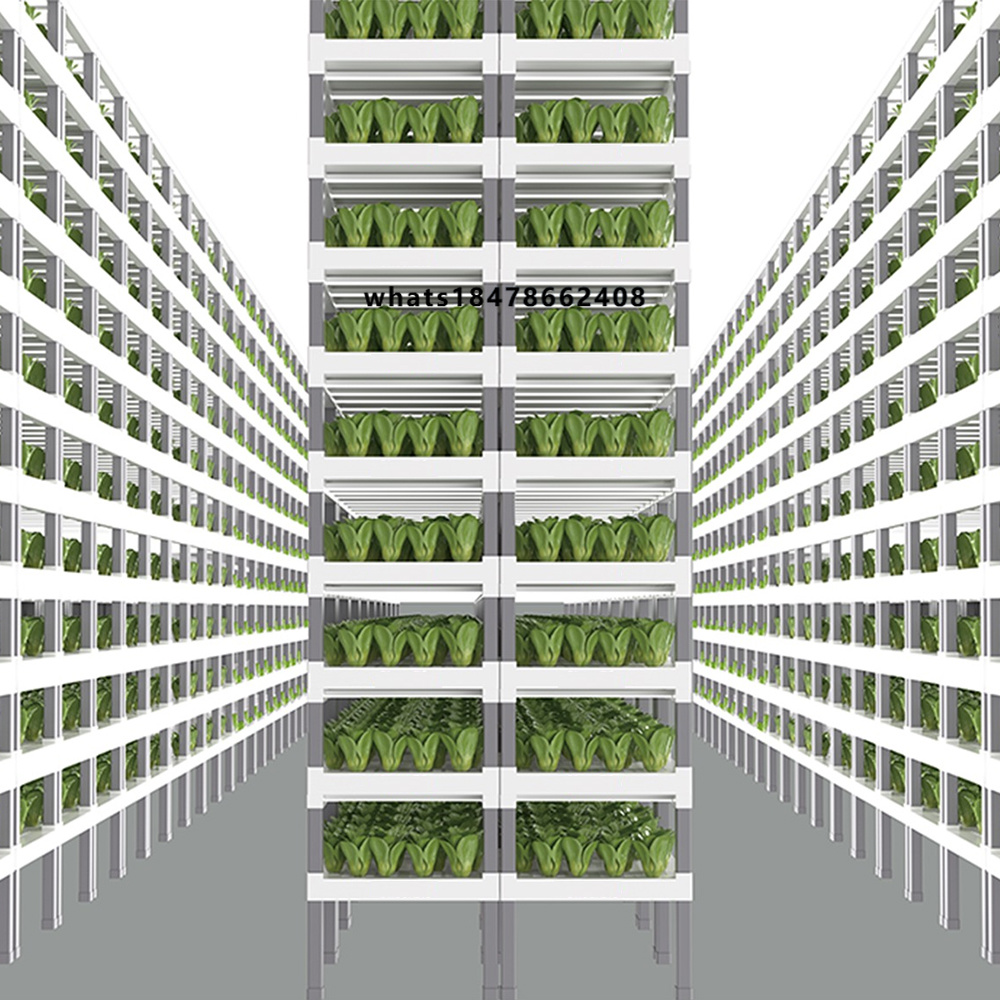 앱 제어 스마트 수경재배 시스템 실내 수직 농업 모듈식 - Indoor Plants 리뷰 및 가격