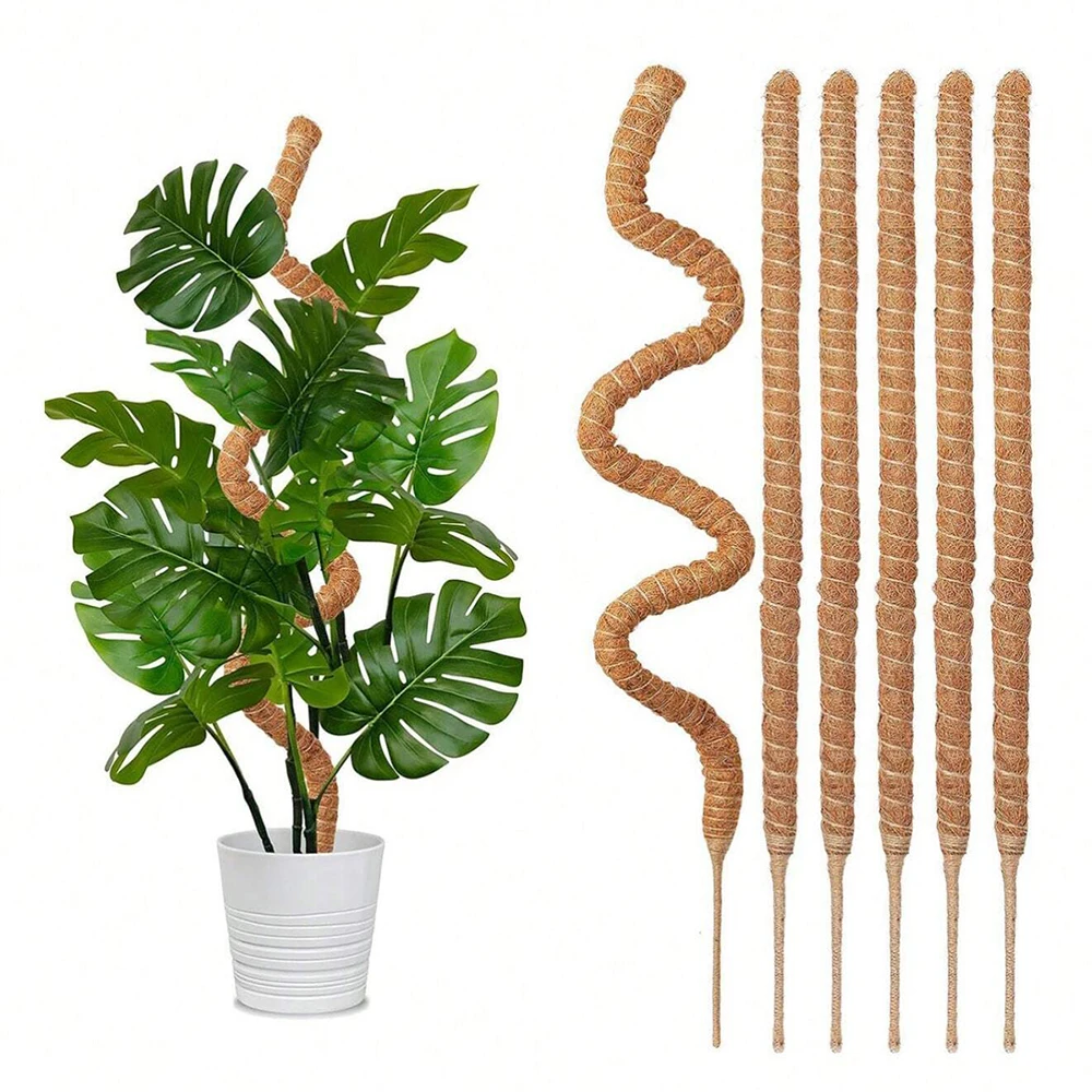 몬스테라 식물용 이끼 지지대, 실내 덩굴 식물 지지대, - Plant Support Stake 리뷰 및 가격