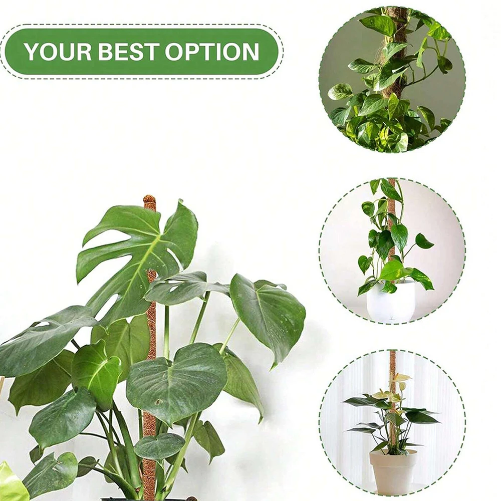 몬스테라 식물용 이끼 지지대, 실내 덩굴 식물 지지대, - Plant Support Stake 리뷰 및 가격