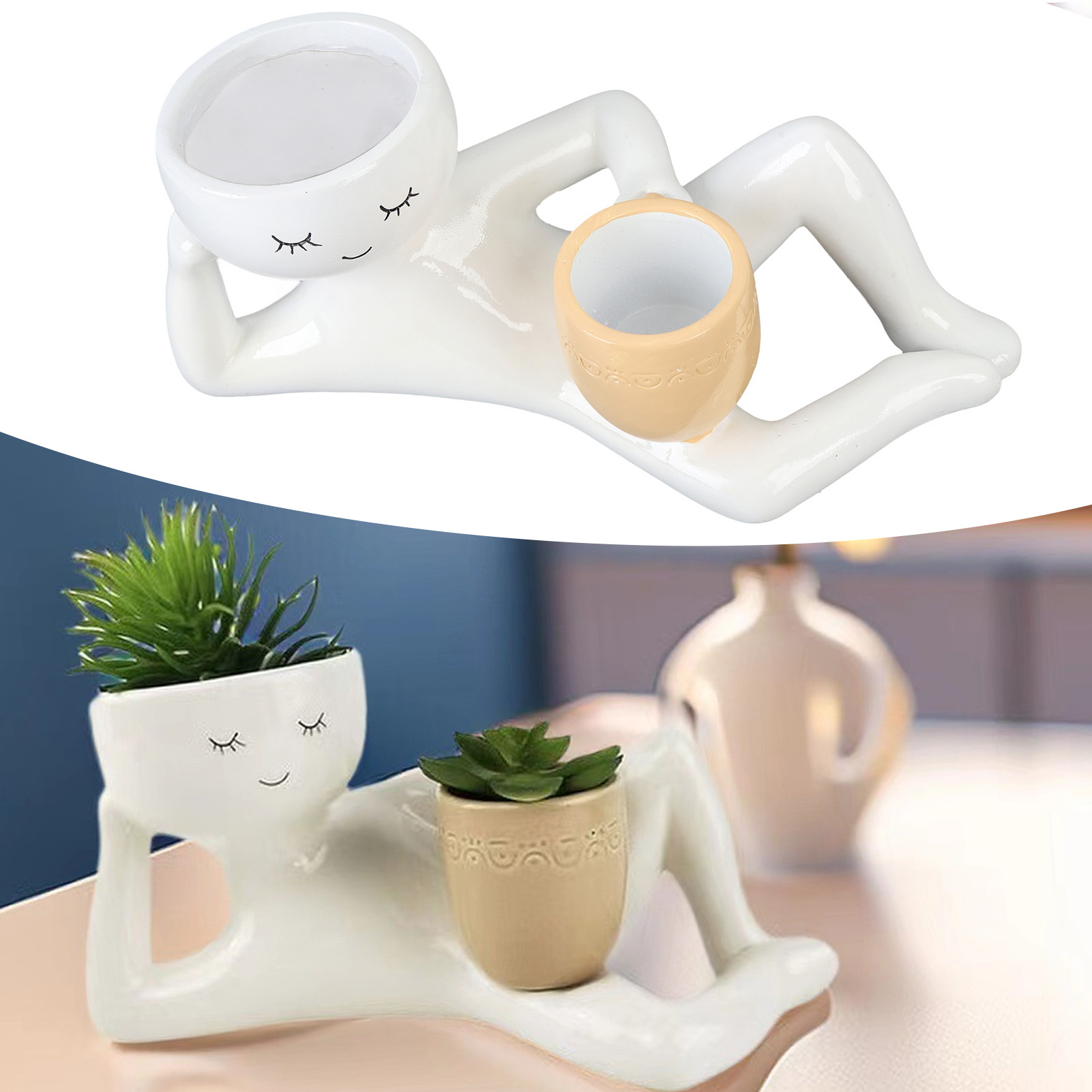 다육식물 화분, 통풍이 잘되는 창의적인 합성수지 화분, - Succulent Set 리뷰 및 가격