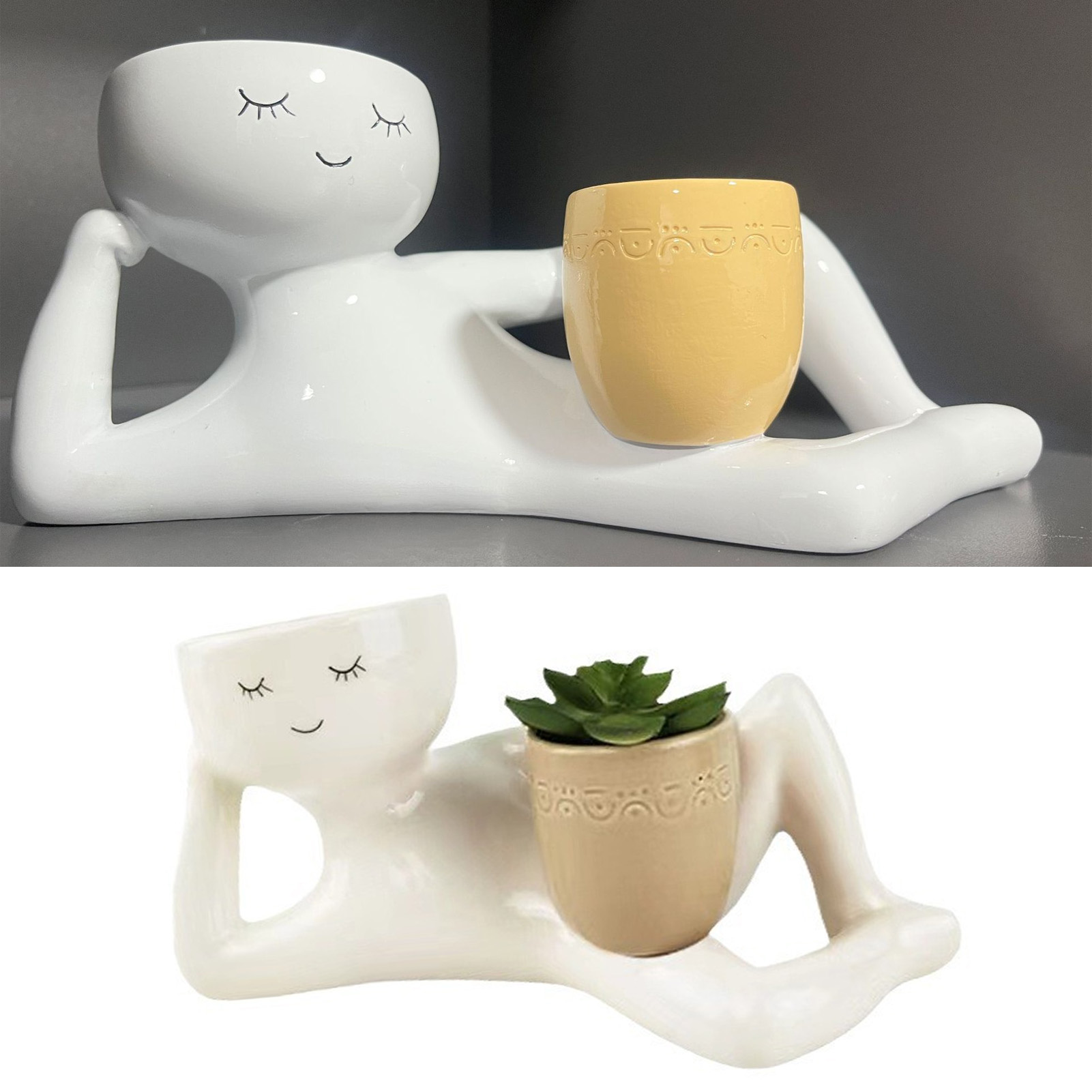 다육식물 화분, 통풍이 잘되는 창의적인 합성수지 화분, - Succulent Set 리뷰 및 가격