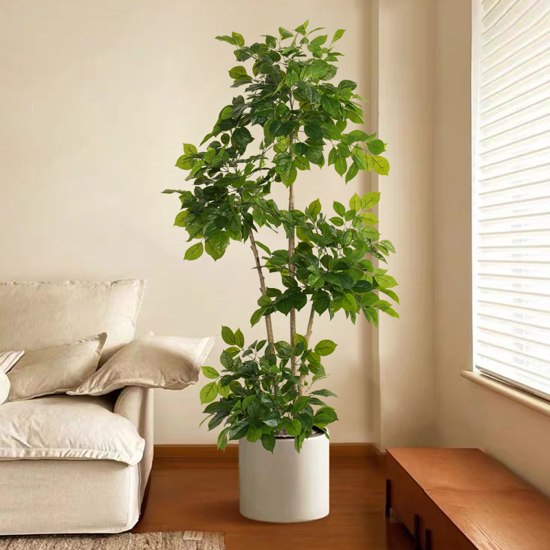 2-78in 대형 가짜 식물 인공 해피 트리 플라스틱  - Fiddle Leaf Fig 리뷰 및 가격
