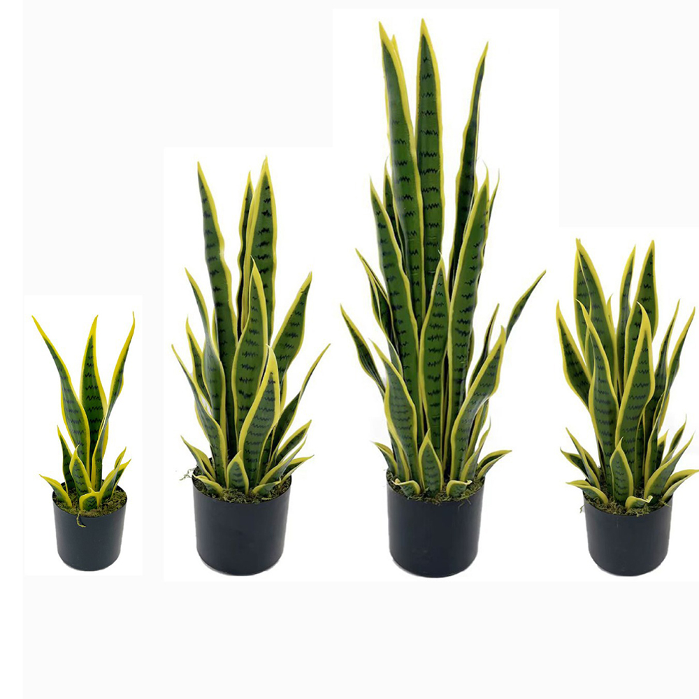 40-100cm 인조 산세베리아 스네이크 플랜트, 검정 - Snake Plant 리뷰 및 가격