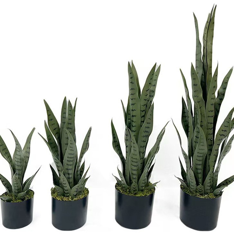 40-100cm 인조 산세베리아 스네이크 플랜트, 검정 - Snake Plant 리뷰 및 가격