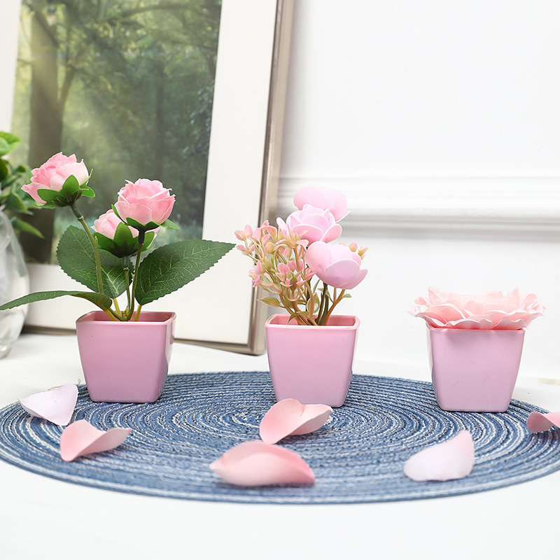 (3PCS 세트) 집, 레스토랑, 탁상, 창턱 및 책장 - Succulent Set 리뷰 및 가격