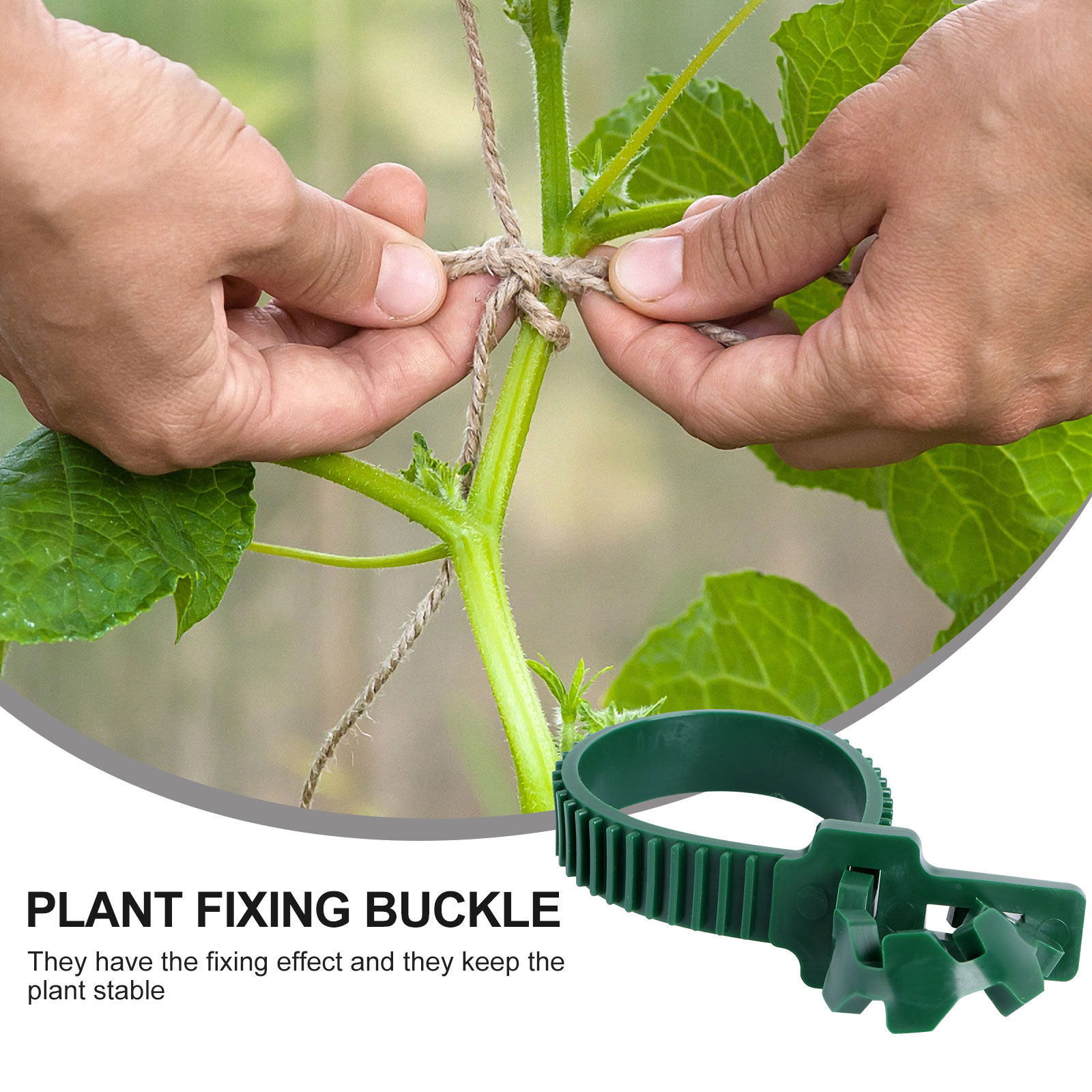 20개입 덩굴 고정 버클 정원 식물 지지 클립 PVC  - Plant Support Stake 리뷰 및 가격