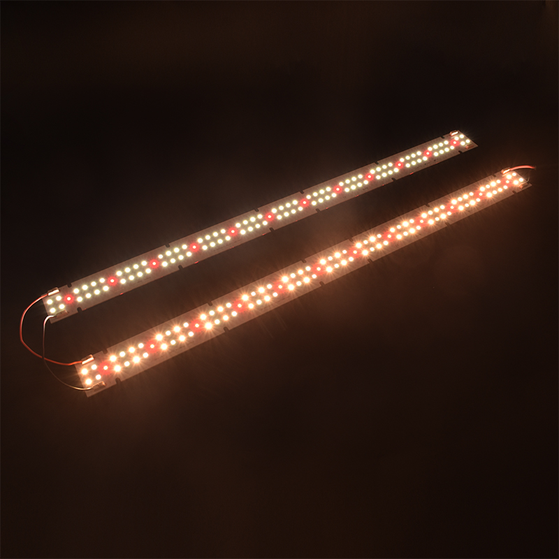 고품질 IP55 등급 COB LED 식물재배등, 풀 스 - Indoor Plants 리뷰 및 가격