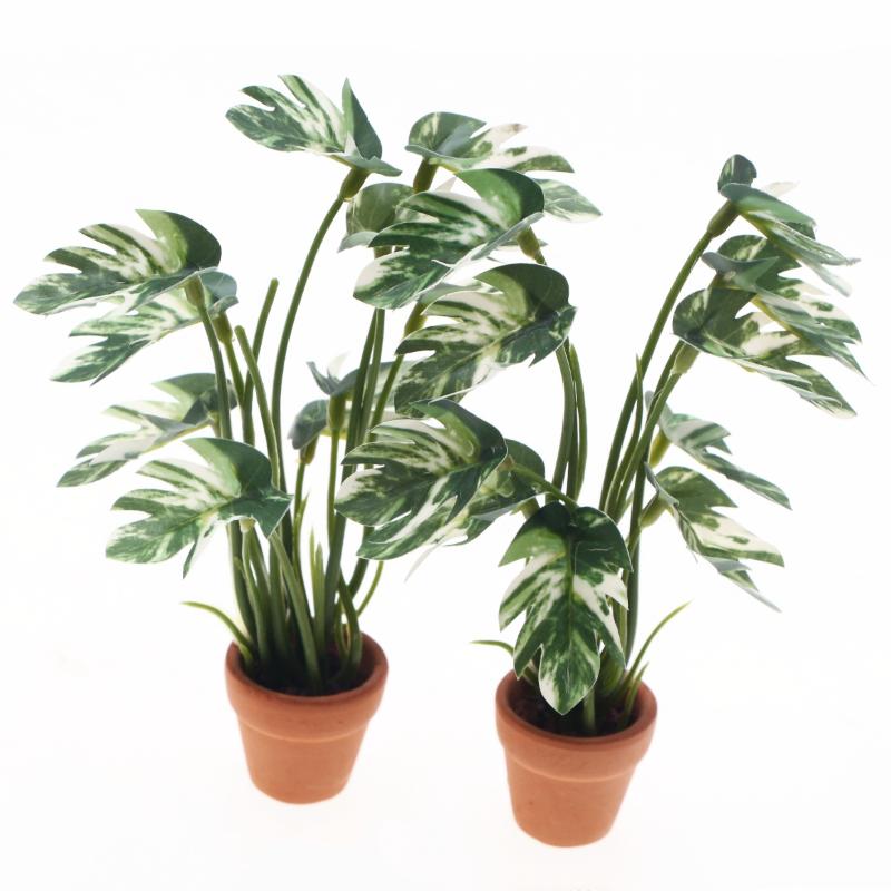 New.1PC 1/12 인형 집 시뮬레이션 몬스테라 녹 - Pothos 리뷰 및 가격
