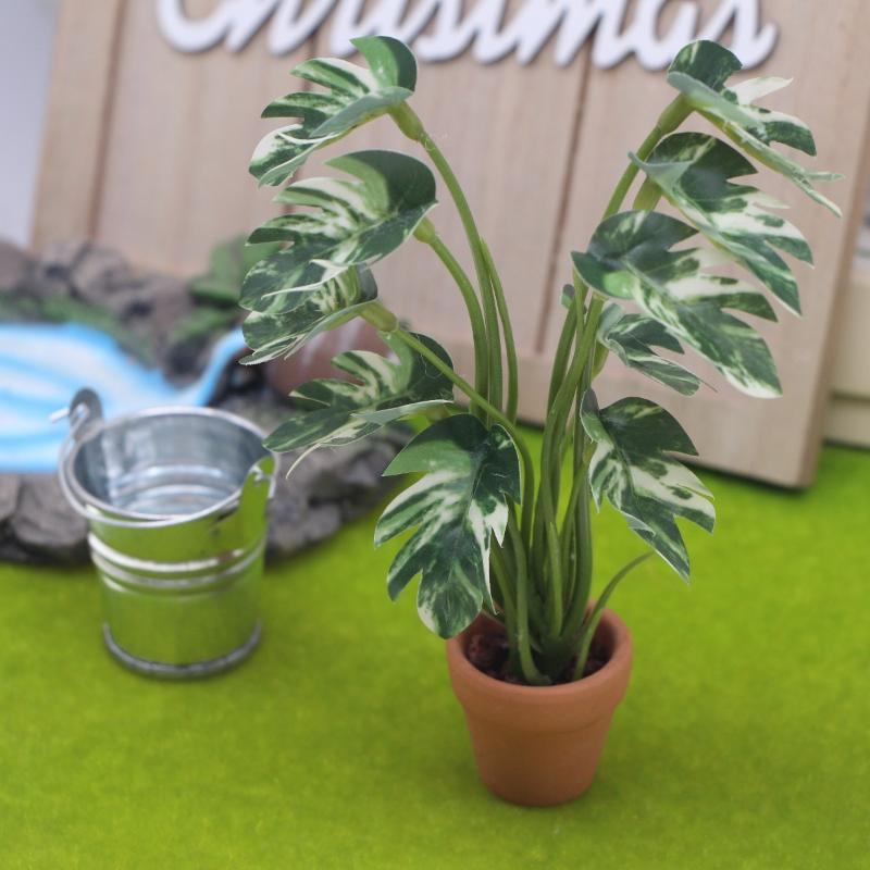 New.1PC 1/12 인형 집 시뮬레이션 몬스테라 녹 - Pothos 리뷰 및 가격