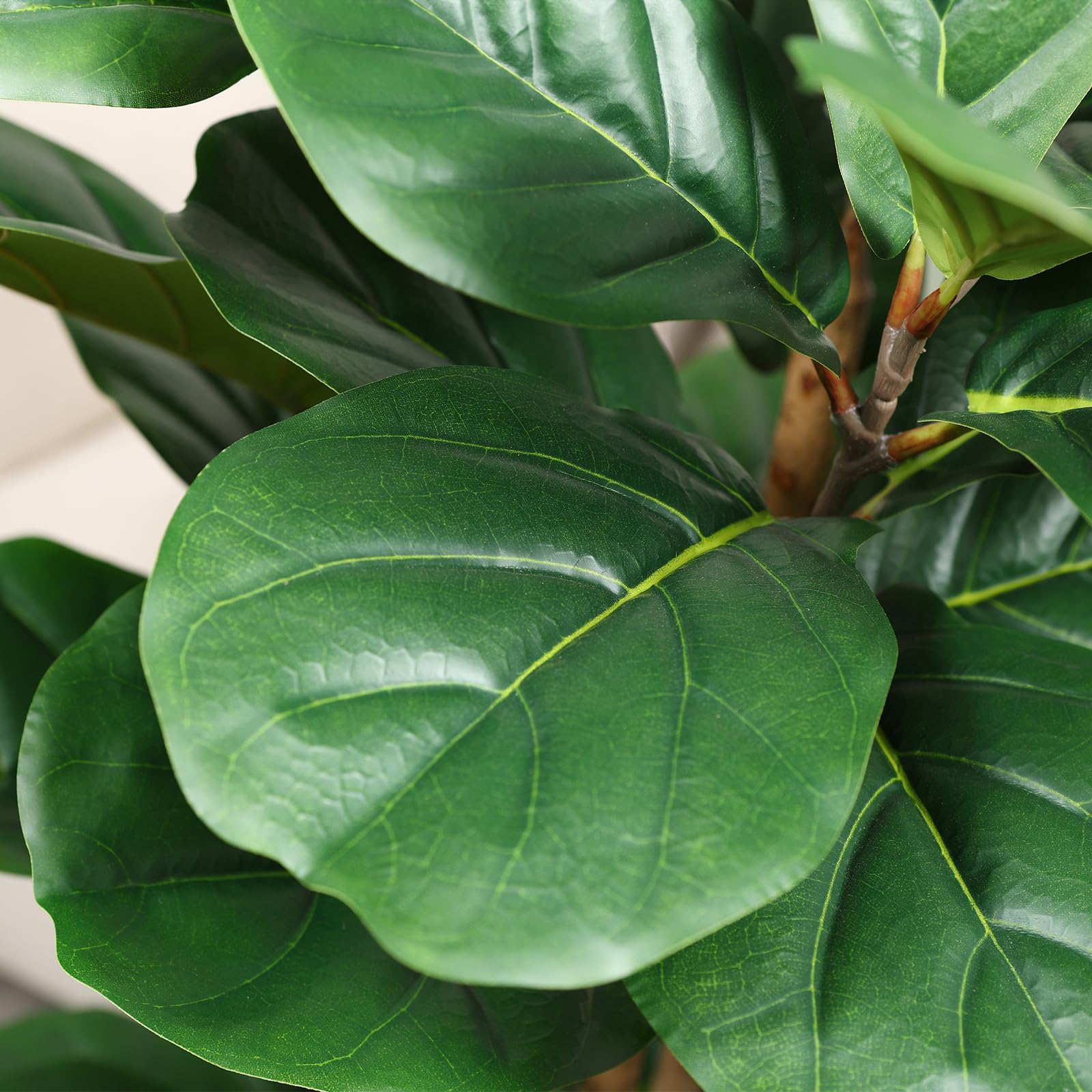 흰색 화분에 담긴 인조 피들리프 피규스 나무, 높이 5 - Fiddle Leaf Fig 리뷰 및 가격