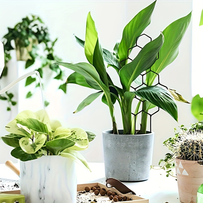 1PC 벌집형 디자인 식물 지지대, 화분에 심은 덩굴식 - Terracotta Pot 리뷰 및 가격