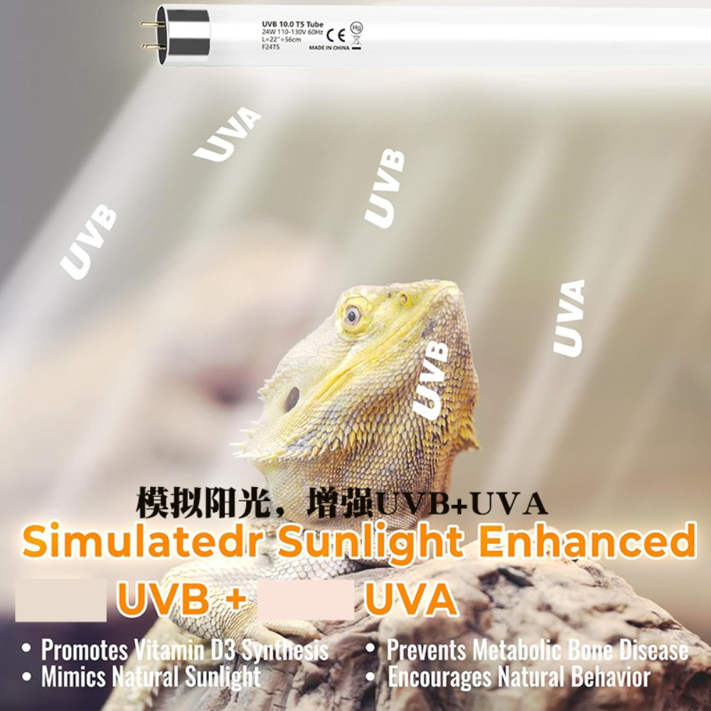 수초 및 파충류 테라리움 LED 조명 24W UVA U - Snake Plant 리뷰 및 가격