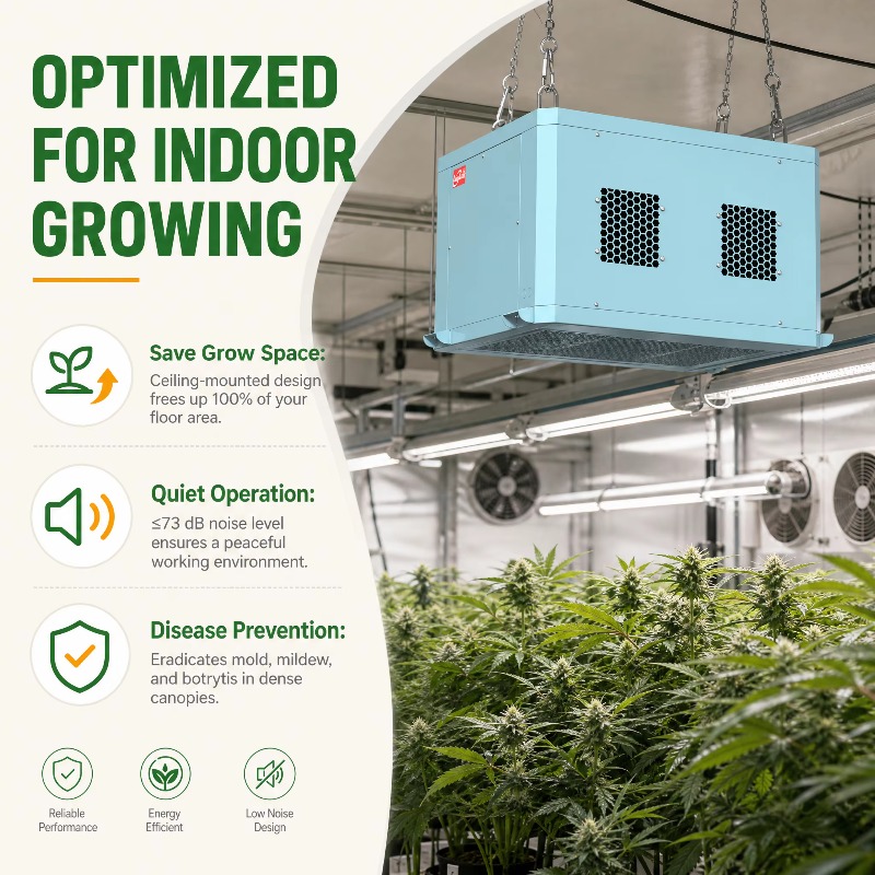 고성능 온실용 제습기, 천장형 제습기, 상업용 실내 재 - Indoor Plants 리뷰 및 가격