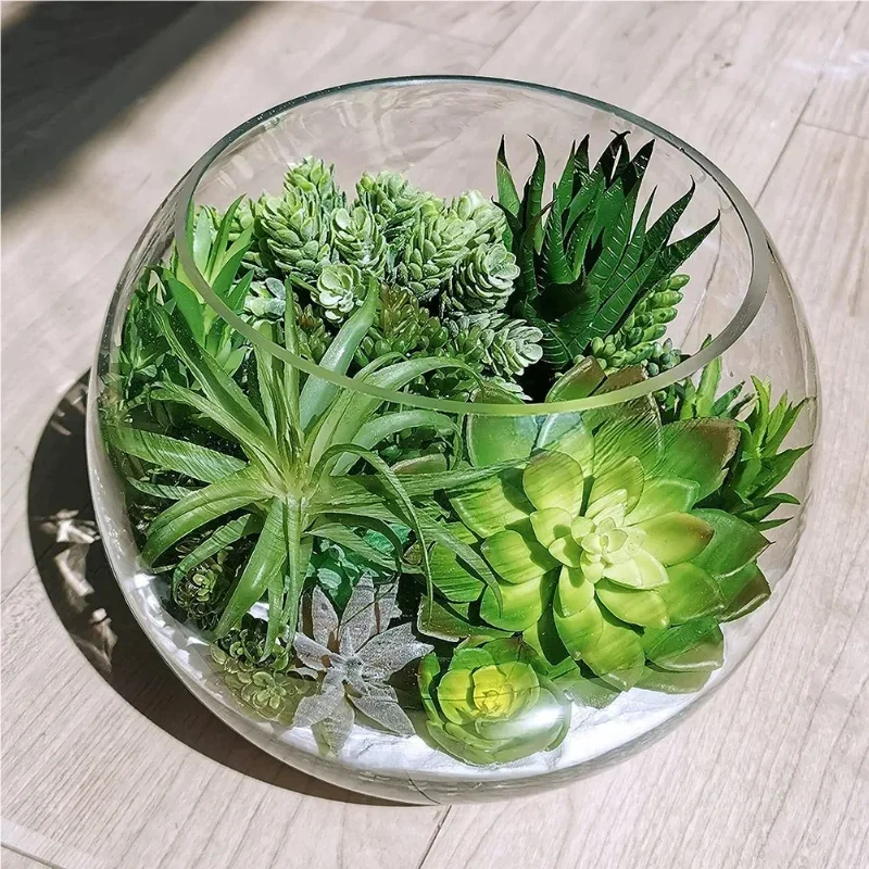 10/20Pcs PVC 다육 식물 가정 정원을위한 녹색 - Snake Plant 리뷰 및 가격